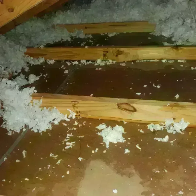 Attic Water Damage in Val Verde County, TX